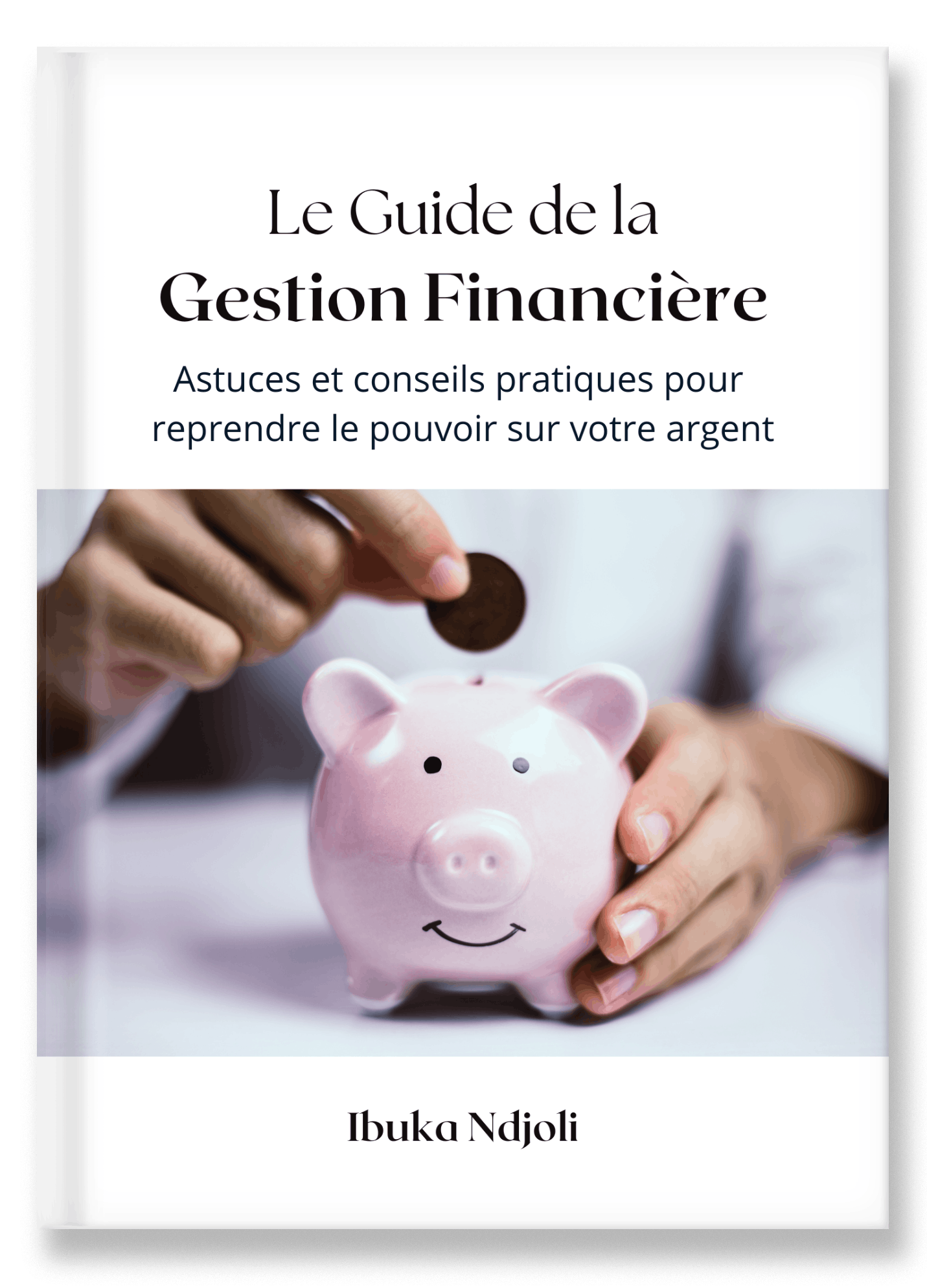 Le Guide De La Gestion Financi Re