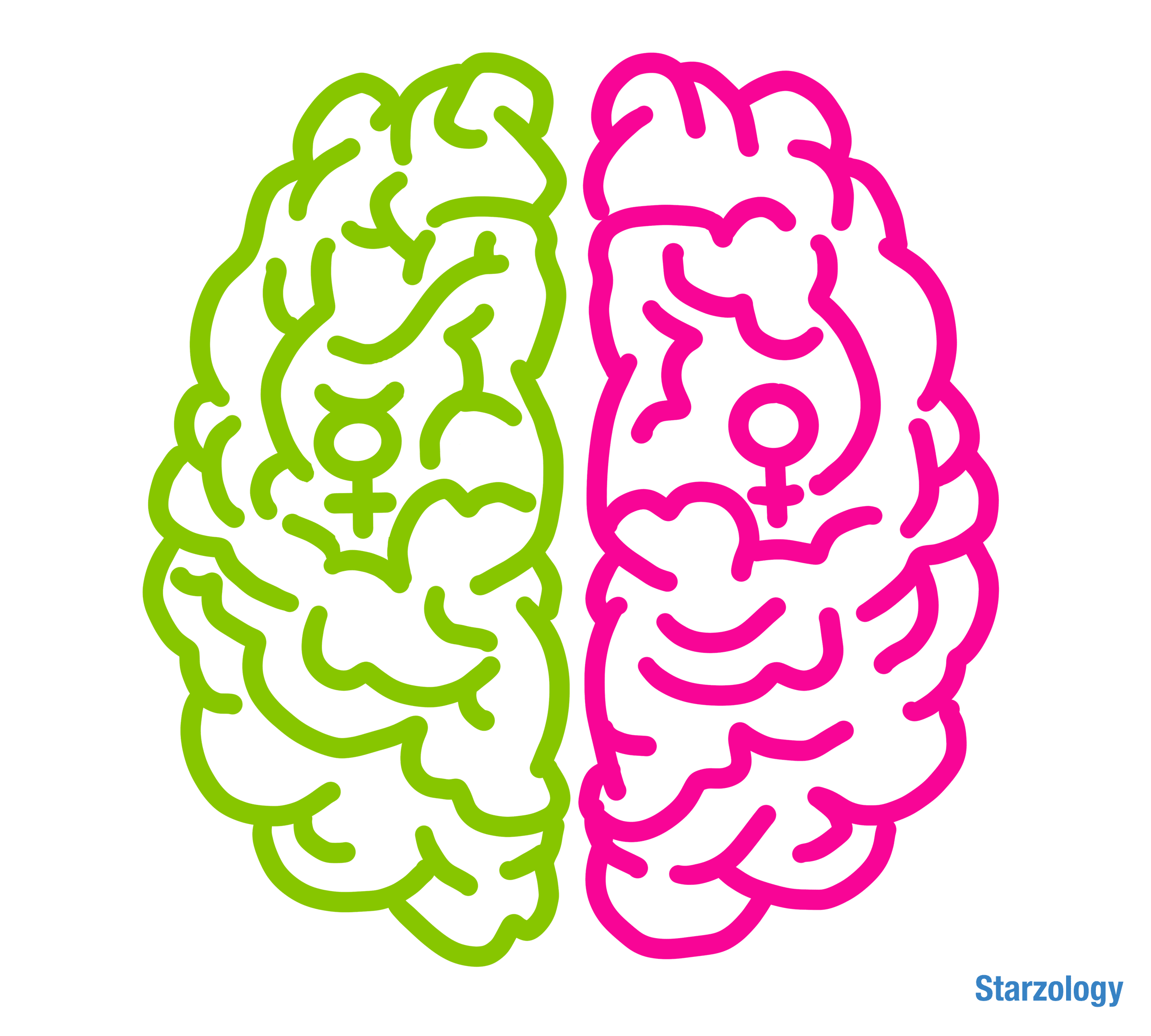 Left Brain Right Brain