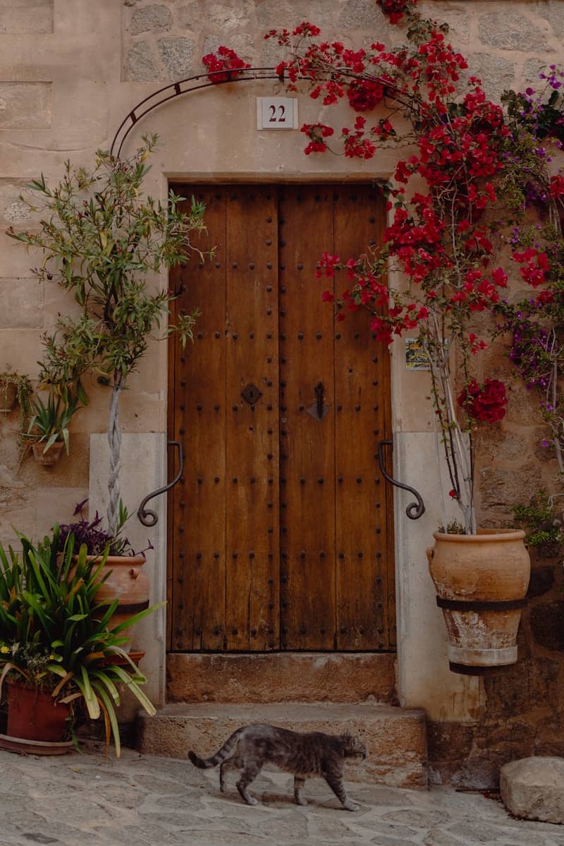 A wooden door and cat grace this charming entrance.