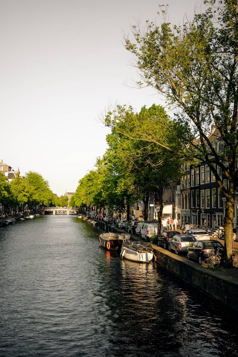 A canal with boats and trees in amsterdam.
