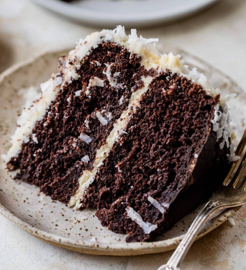 Chocolate Coconut Cake
