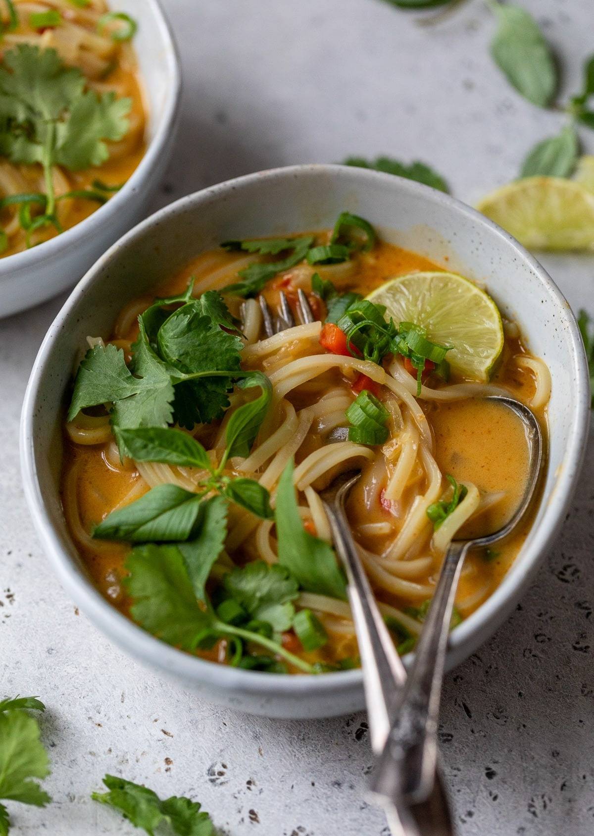 Curry Noodle Soup