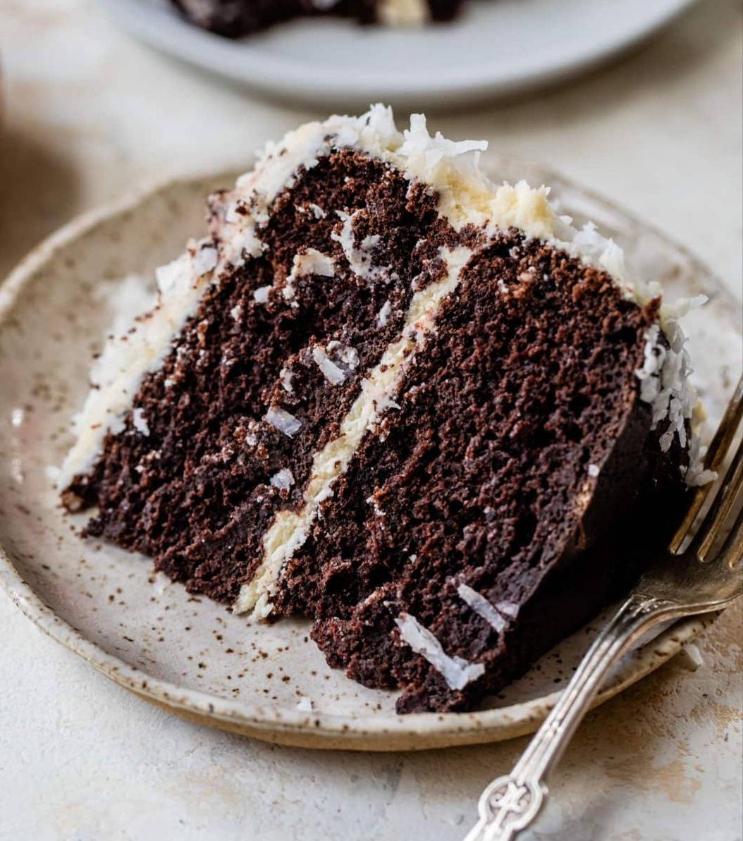 Chocolate Coconut Cake