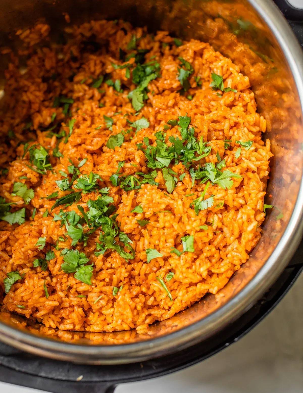 Instant Pot Spanish Rice
