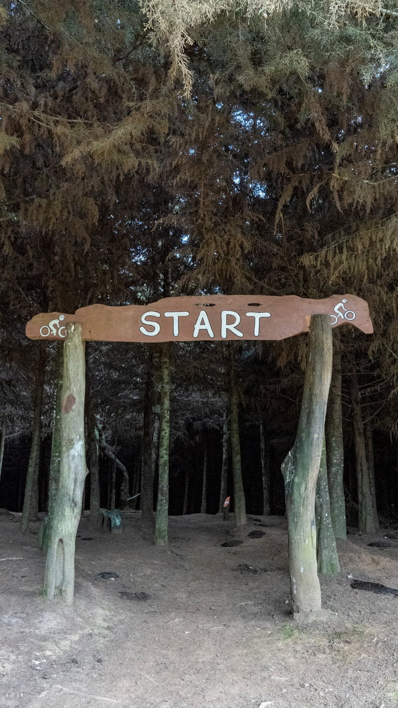 a wooden start sign in the middle of a forest