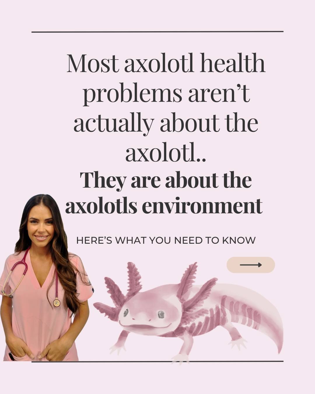 One of the most unique and interesting animals I see as an exotics vet but sadly a lot of health problems are completely preventable!

It’s not usually the axolotl that’s the problem - it’s their environment and environmental deficiencies and discrepancies lead to disease.

These are my tips to get your axolotls environment right and prevent disease before it starts! 

These tips are the fundamentals but they’re just scratching the surface. If you want to learn all the essentials of axolotl care including tank setup, water cycling, testing and maintenance, feeding, preventing health problems, recommended products and more then comment “DIVE” and I’ll send you the link to access my Comprehensive Amphibian Care Guide 👇🏼

#axolotl #axolotlcare #exoticsvet #veteducation #petaxolotl