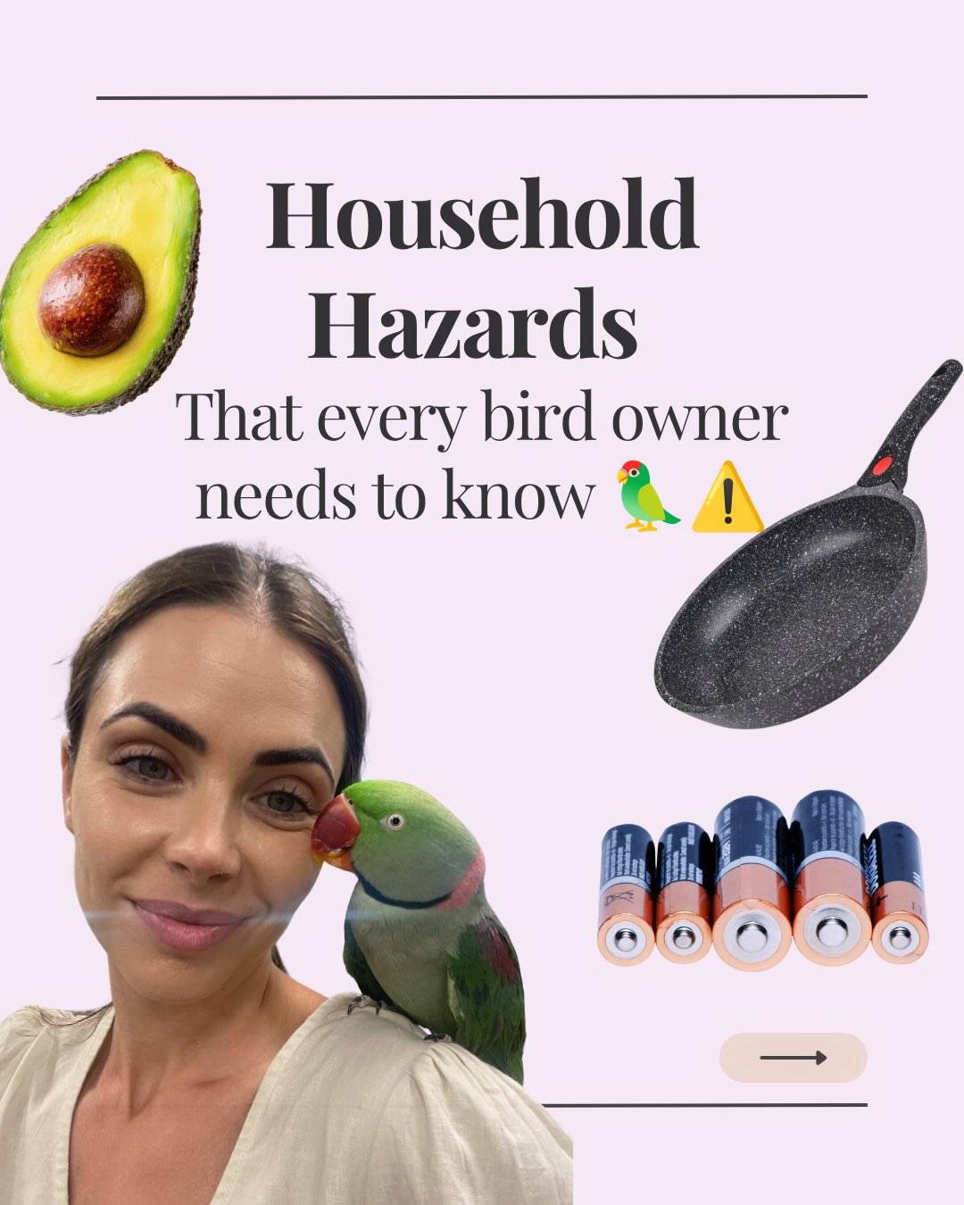 Unfortunately for our feathered friends hazards are often hiding around every corner! 🦜🚨

Birds, especially parrots are naturally intelligent and inquisitive but those curious beaks can get them into serious trouble! 

Knowing exactly what household items to keep out of your bird’s reach makes a huge difference in keeping them safe!

Which of these surprised you the most?

#birdcare #petparrots #birdvet #parrothazards #avianveterinarian