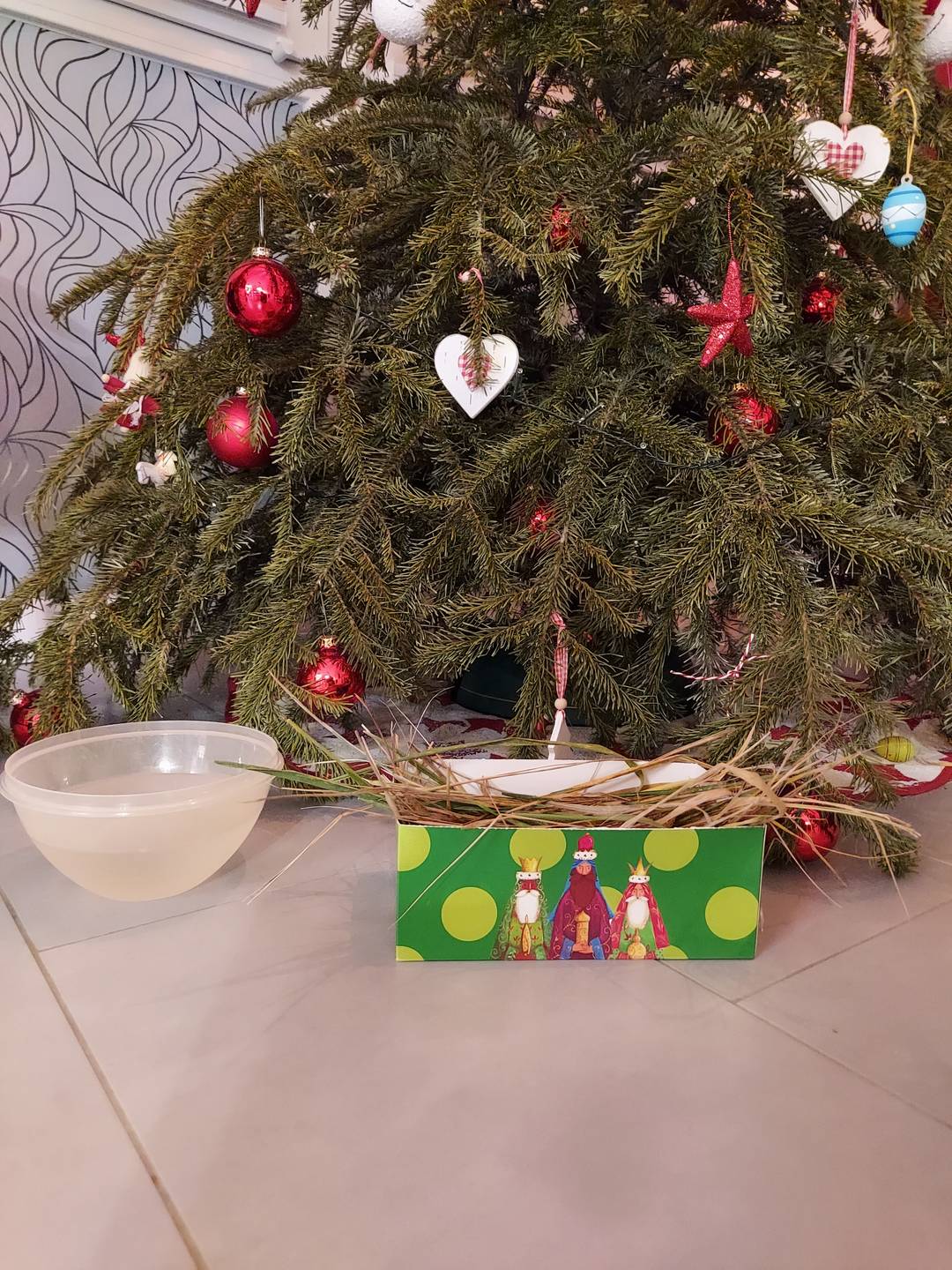 A Three King's Day box filled with grass lying on the floor in front of a Christmas tree