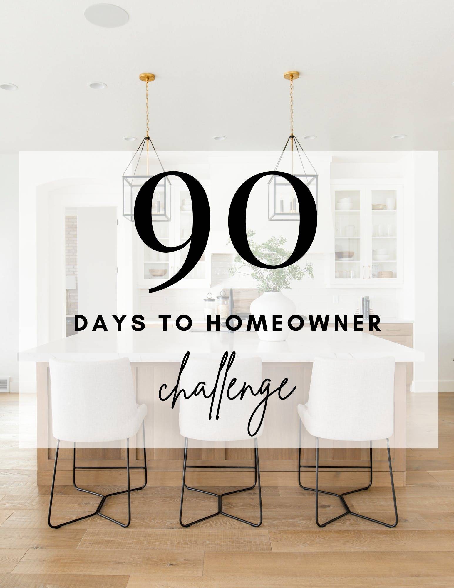 Join The 90 Days To Homeowner Challenge!