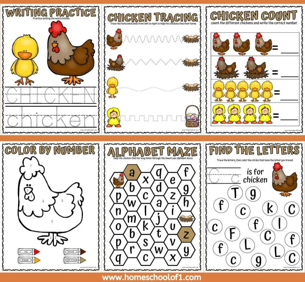 Get your free chicken worksheets here!