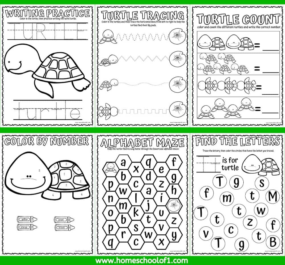 Get the free turtle worksheets for preschoolers here!