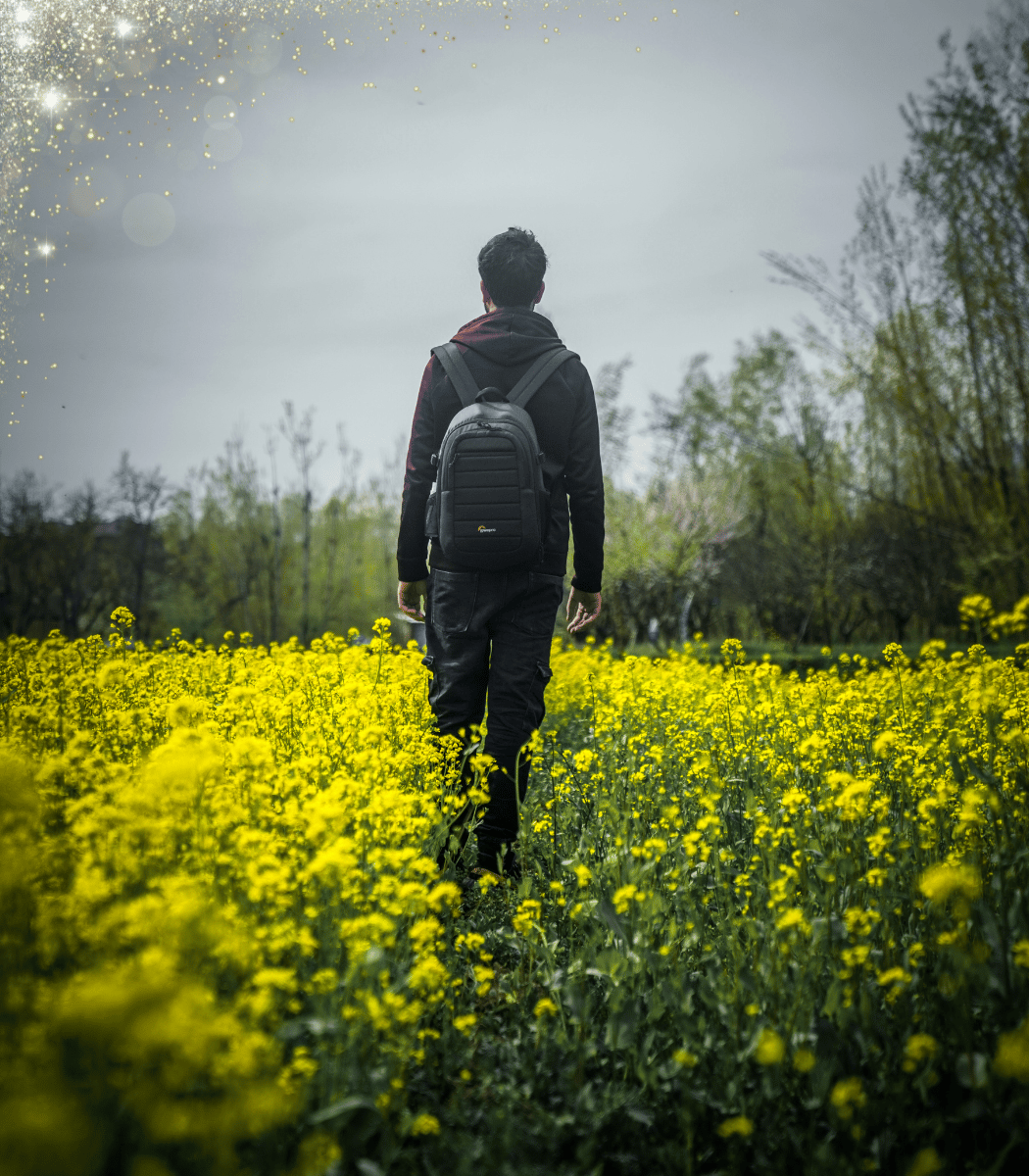 young man walking away from camera through a field of yellow flowers.