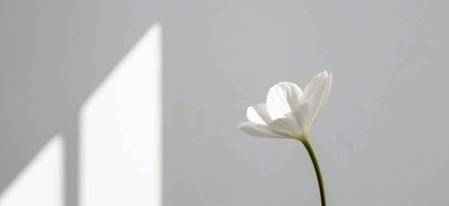 How to Use Practical Minimalism to Change Your Life and Art Business