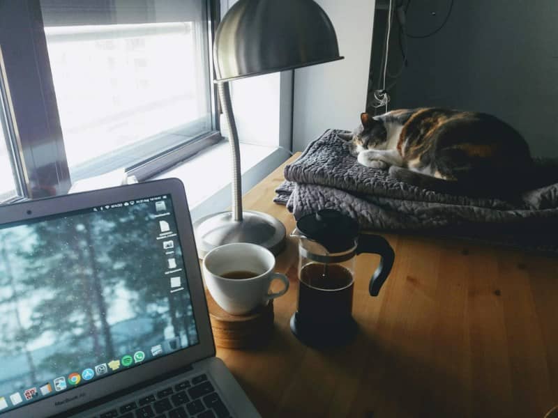 MacBook Air turned on coffee mug and a cat sleeping on a desk