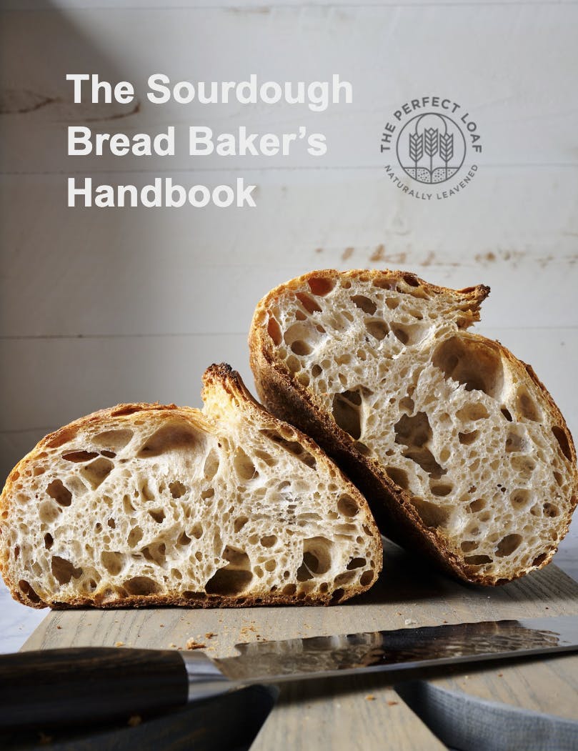 Sourdough Bread Baker's Handbook