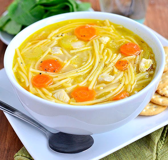 Bowl of chicken noodle soup