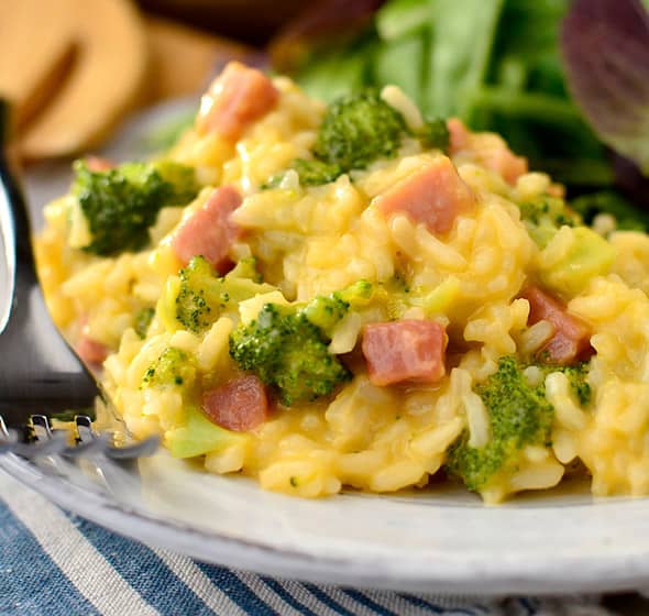 plate of cheesy ham and broccoli rice