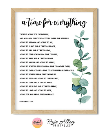 A Time for Everything, Scripture, Typography Print, Eucalyptus, Ecclesiastes 3:1-8 Bible Verse Wall Art