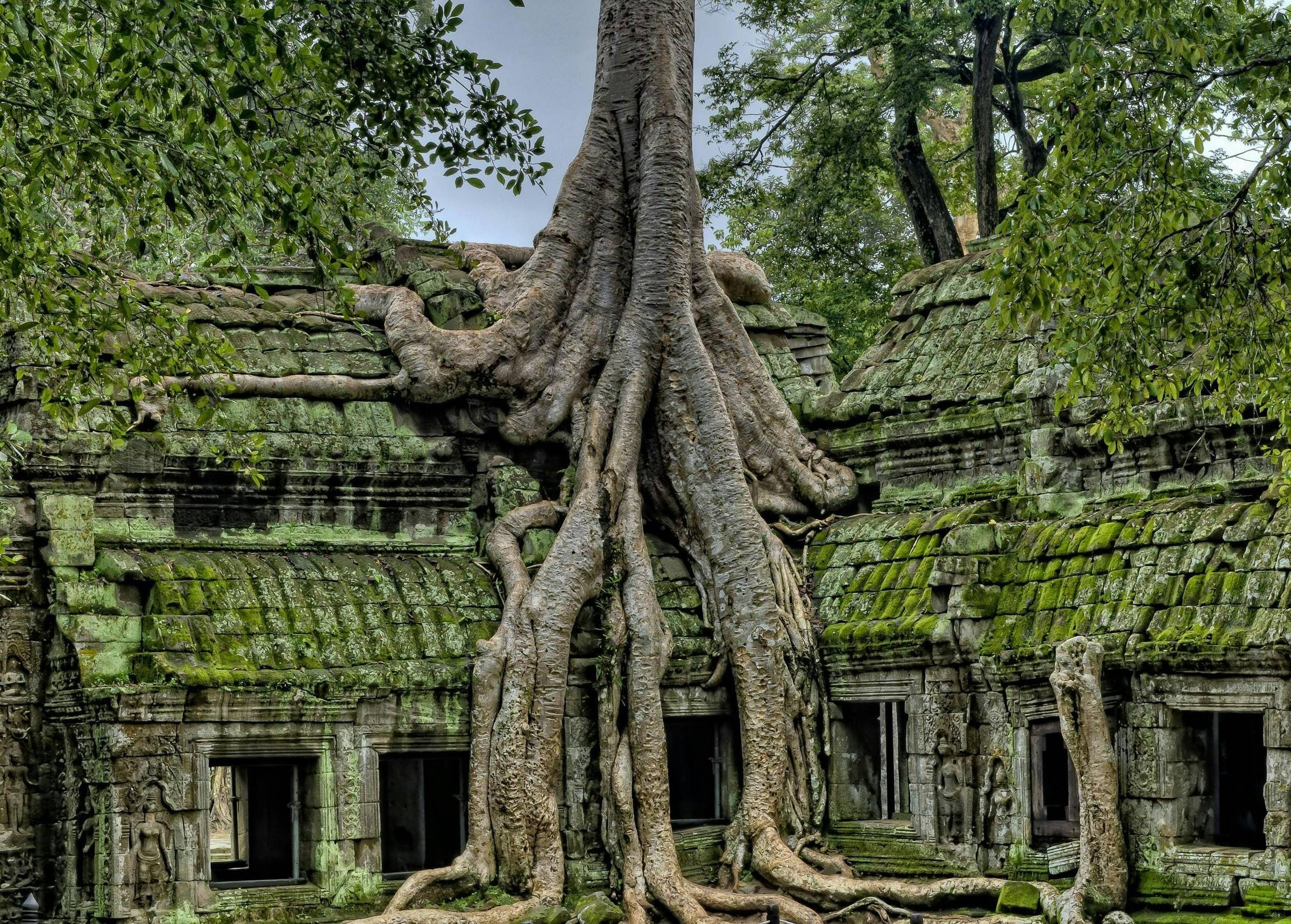 Foto by James Wheeler (pexels.com)