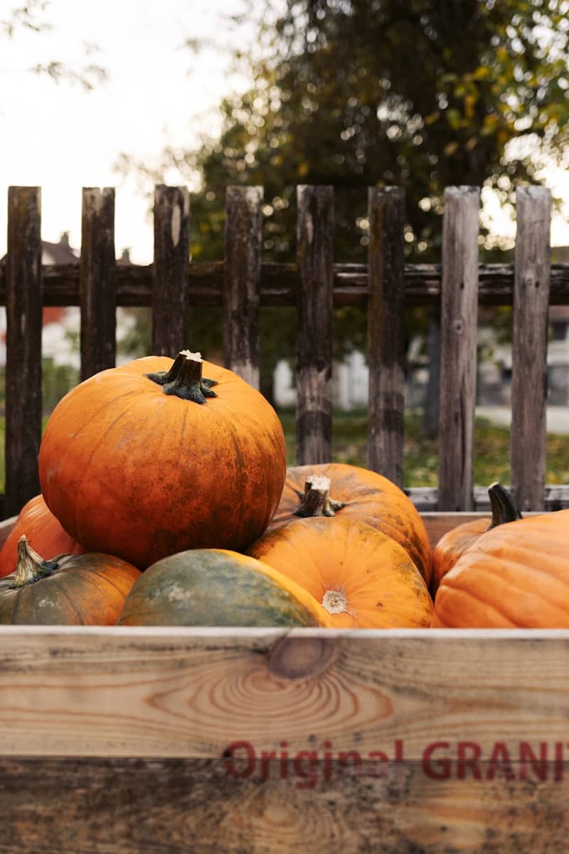 A wooden crate filled with pumpkins and gourds.