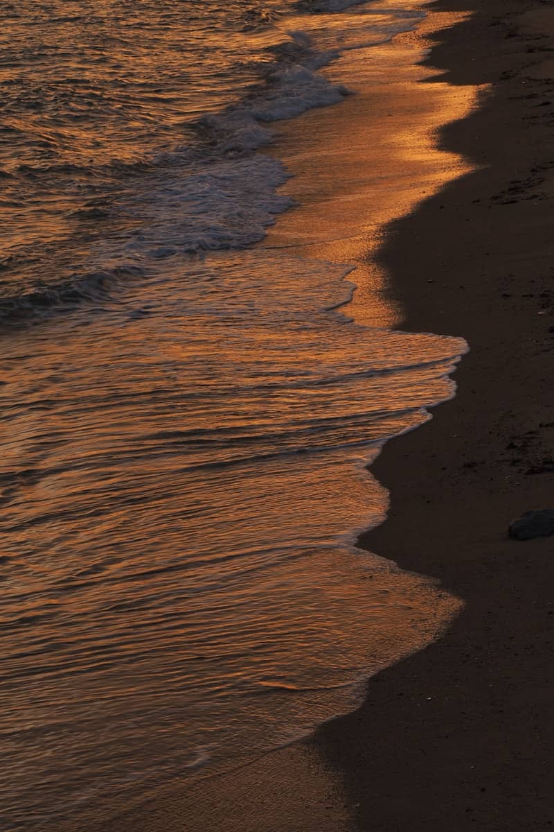 Golden sunset reflects on ocean waves washing ashore