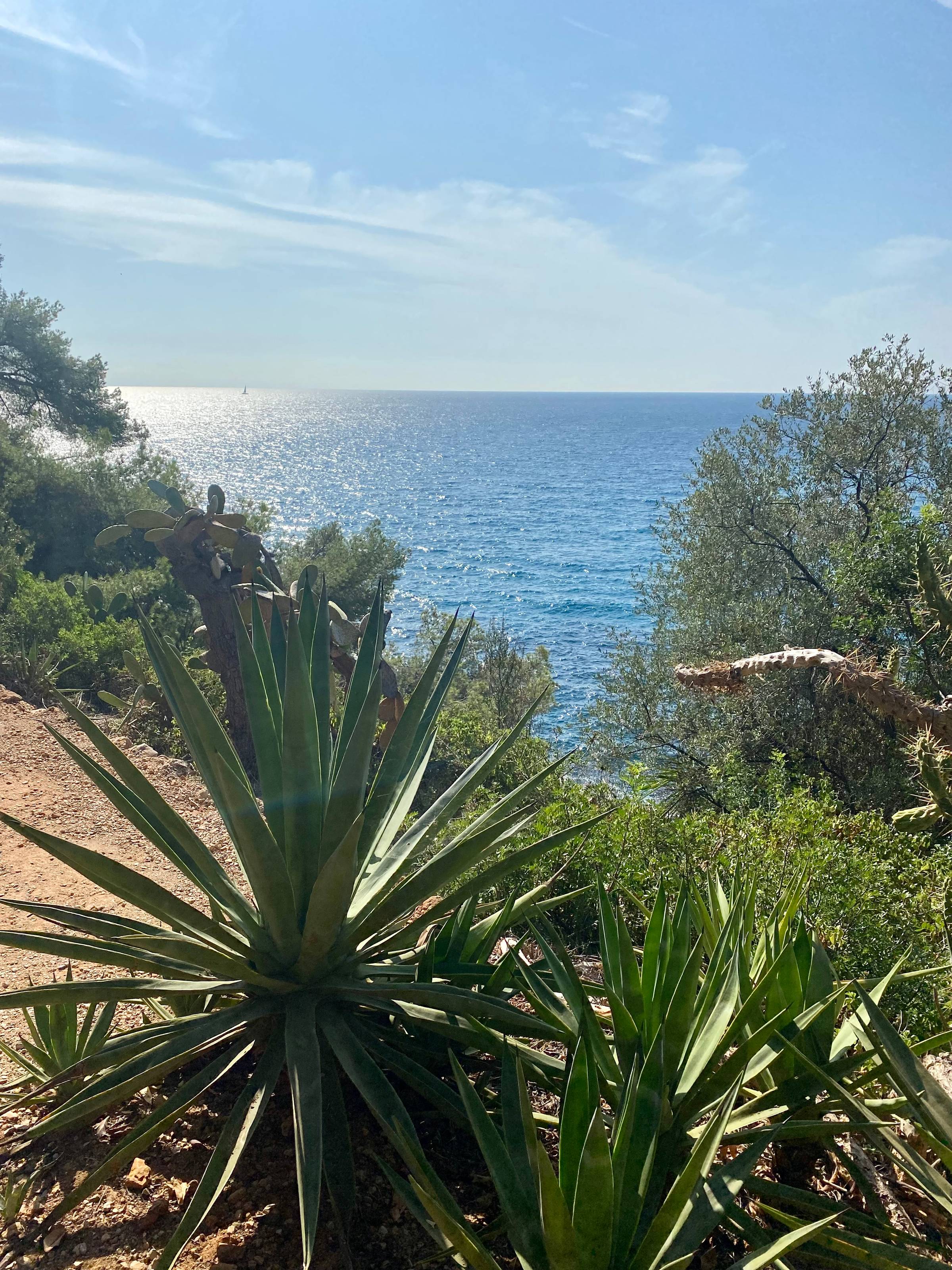 Roquebrune-Cap-Martin