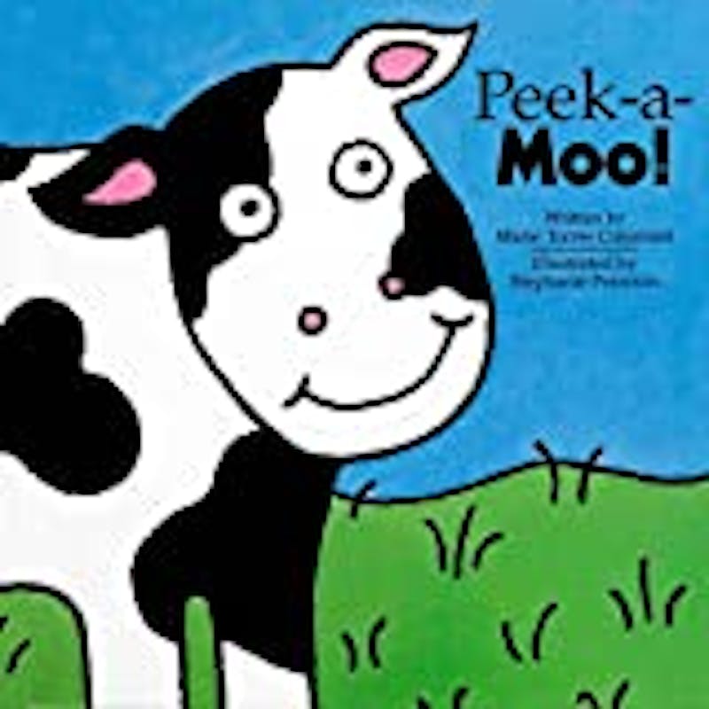 Practical Parenting Guide Age Appropriate Toys For Development. Board Book Peek-a-Moo!