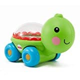 Practical Parenting Guide Age Appropriate Toys For Development. Popitty Pop Turtle By Fisher Price.