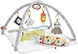 Practical Parenting Guide Age Appropriate Toys For Development and Early Learning. Activity Mat By Fisher-Price 