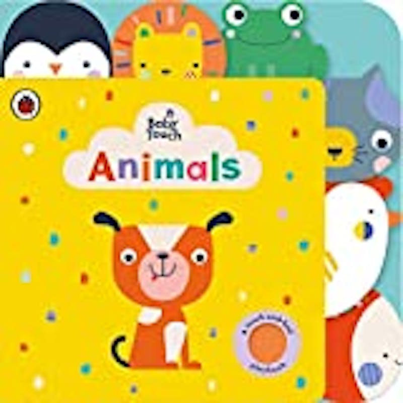 Practical Parenting Guide Age Appropriate Toys For Development. Board Book Baby Touch Animals