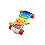 Practical Parenting Guide Age Appropriate Toys For Development. Music Toys Xylophone By Fisher Price.