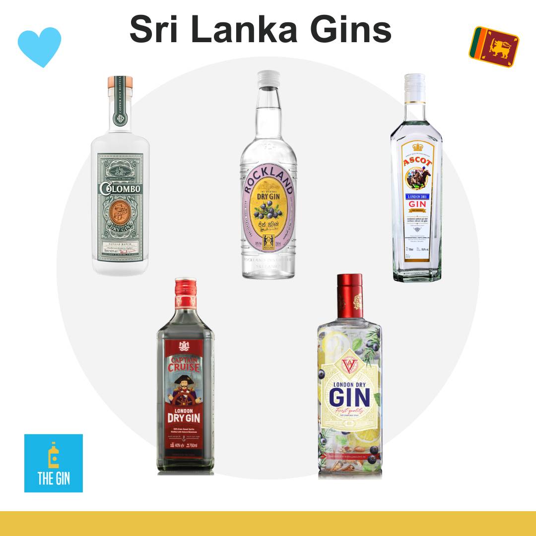 Take Note of Sri Lankan Gins ?? The Gin Island ?? What is 0.0 Gin? 0?? Spiced Gin Sour ? March Events ??