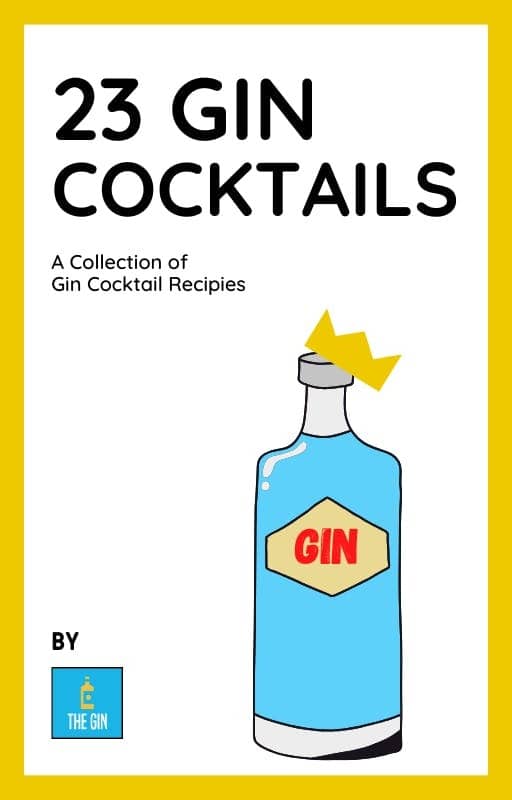 The Gin - 23 Gin Cocktails