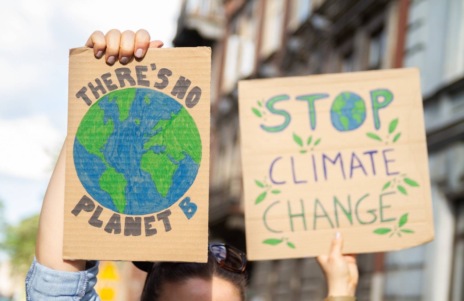 Two placards. One saying "There's No Planet B" and the other "Stop Climate Change"