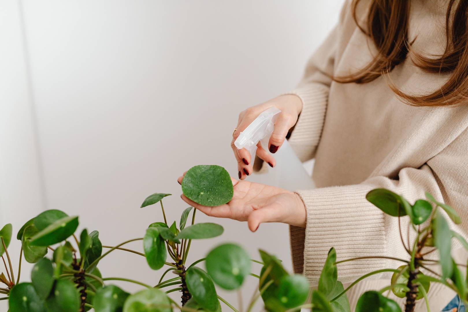 thumbnail placeholder