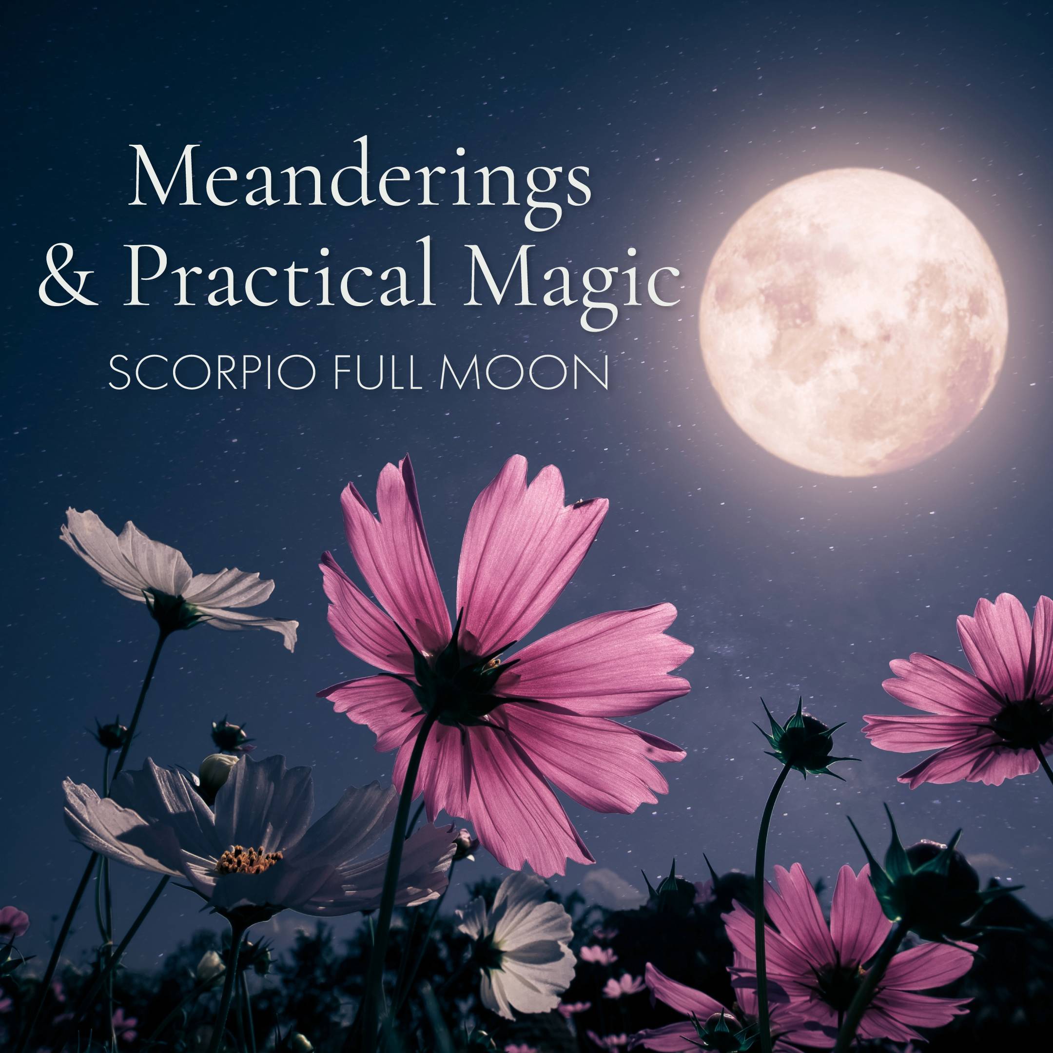 A full moon glows brightly in a deep blue night sky above pink and white wildflowers, with the text "Scorpio Full Moon" overlaid in white lettering."
