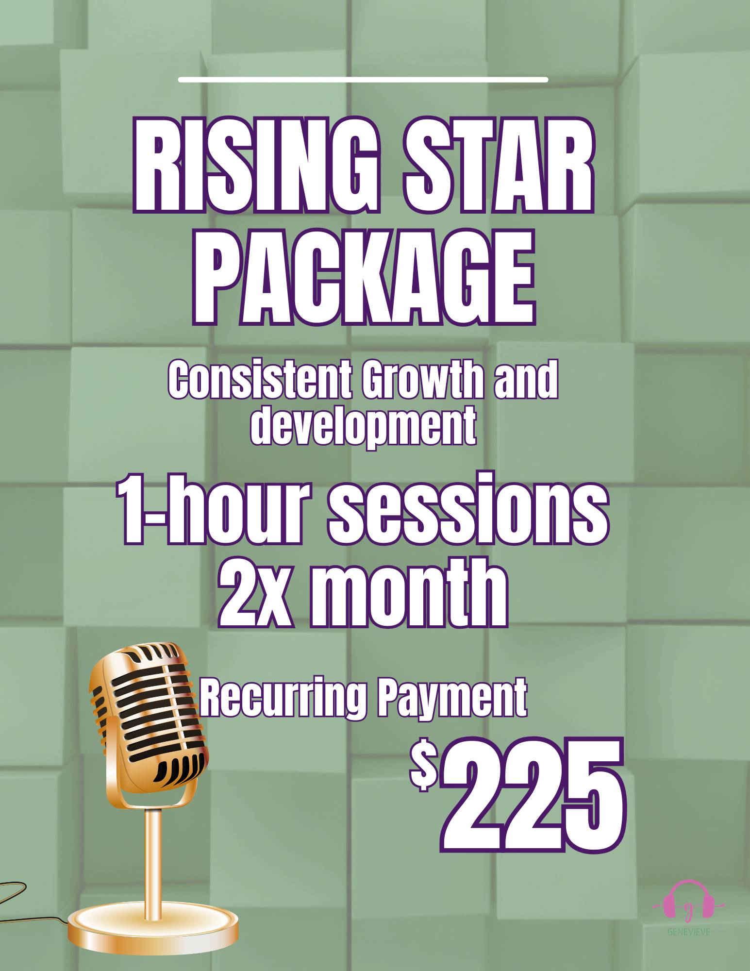 Rising Star Package  (2) 1-hour sessions Monthly Recurring