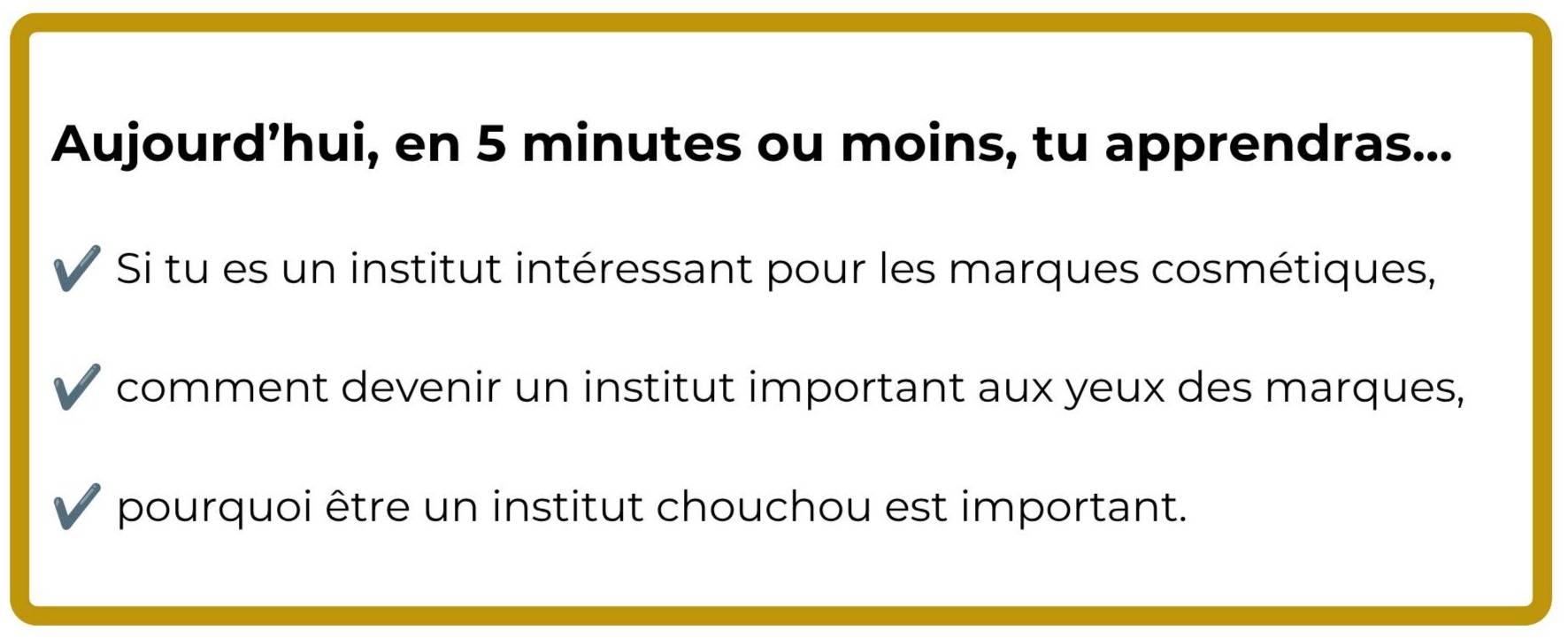 marque de cosmétiques_ce que tu apprendras en 5 minutes ou moins - helene_leblond