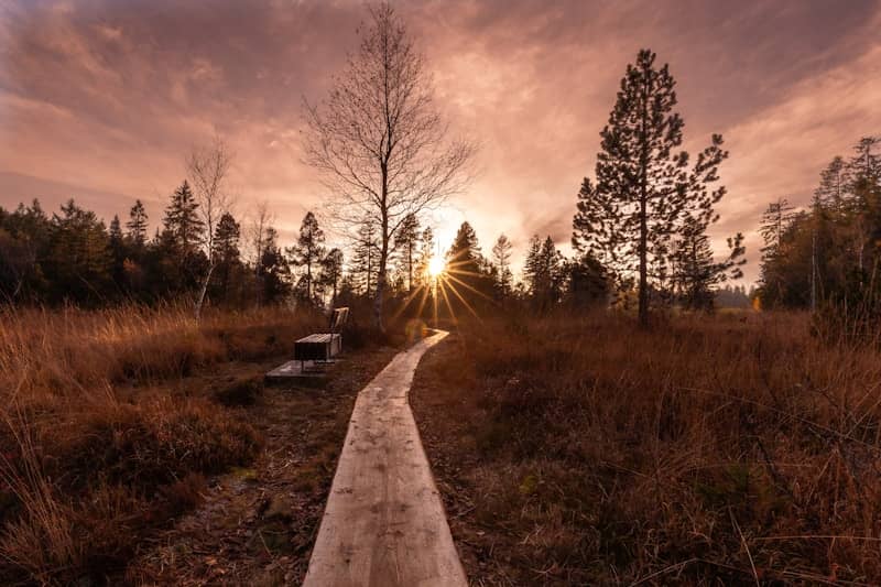 Sunset at the moor