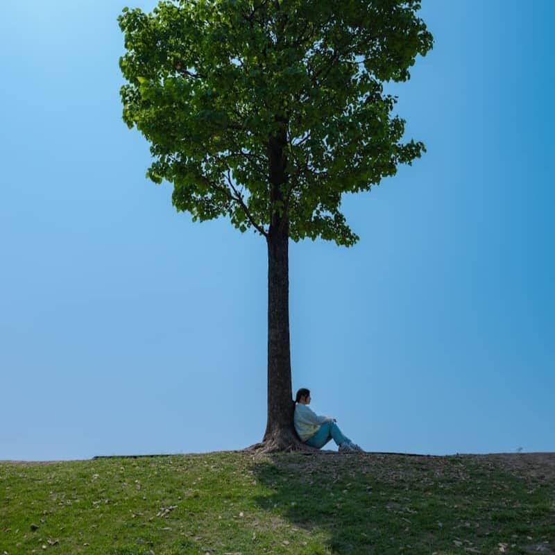 Person rests under a tree on a sunny day.