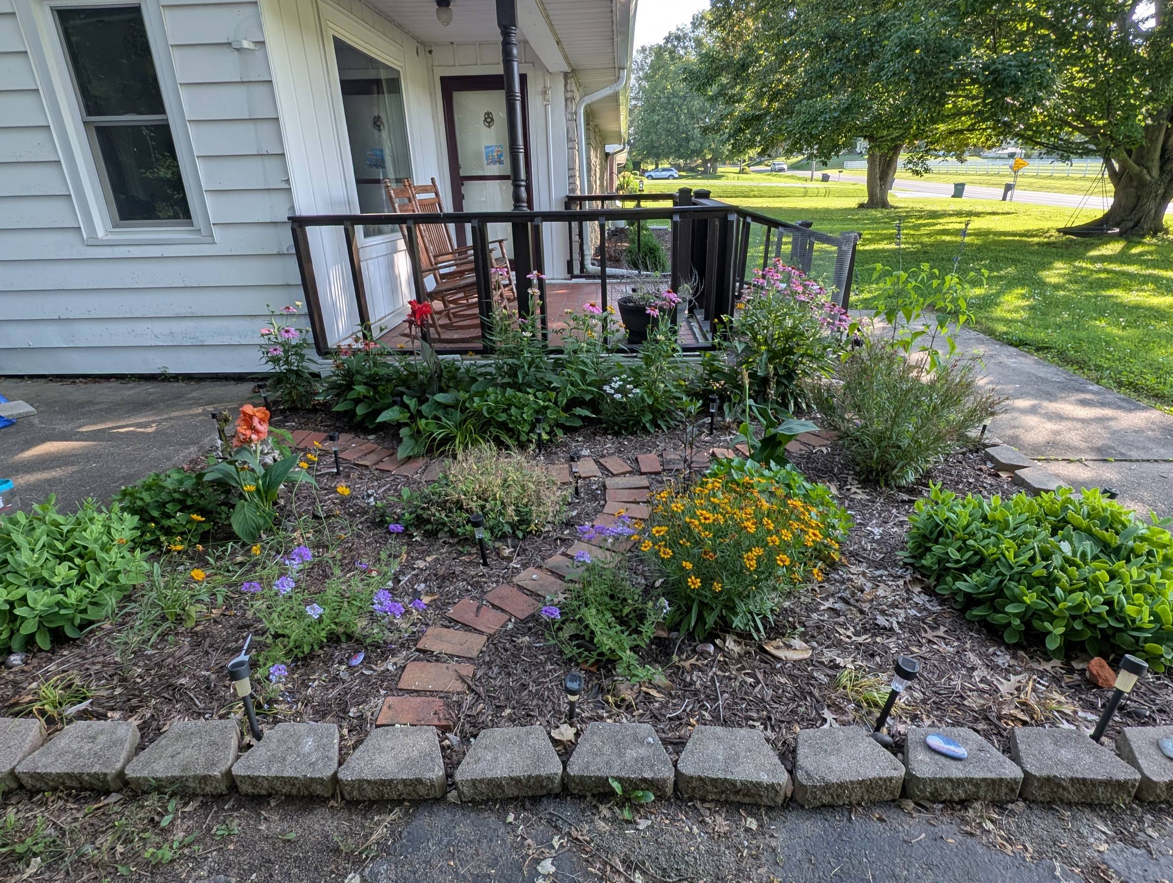 An image of a flower garden