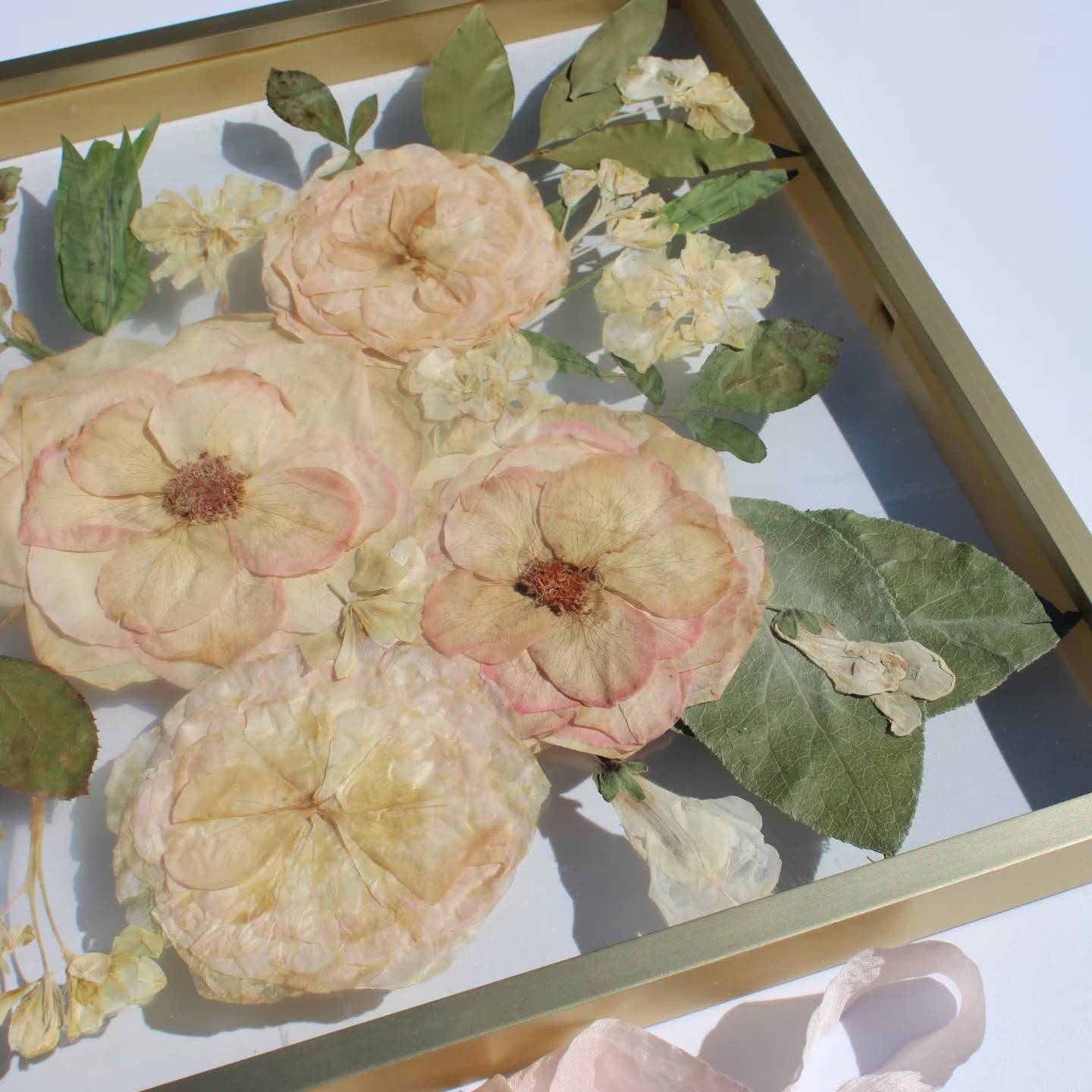 Blush blooms, layered greens, and airy details in a gold floating frame and round resin earrings. 🌸

It’s the kind of keepsake that looks like art on your wall… and feels like a memory on your ears.

From statement piece to everyday accessory.
Reserve your preservation slot today. Link in bio.