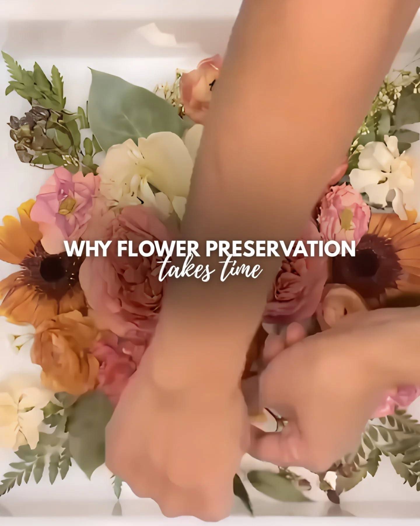 Your flowers are so special to me, and that’s exactly why I never rush the process.

Flower preservation is a careful process, and every pause I make is to protect the quality of your keepsake. From checking humidity before pouring resin to waiting for the right weather for sanding, sealing, and photographing, every step matters.

I know waiting can feel hard when you’re excited to see your piece, but please know that the extra time is all part of protecting your flowers and creating something you can treasure for years to come.

Thank you for trusting me with something so meaningful. 🌸

#flowerpreservation #weddingbouquet #bouquetpreservation #preservedflowers #designsbymaha