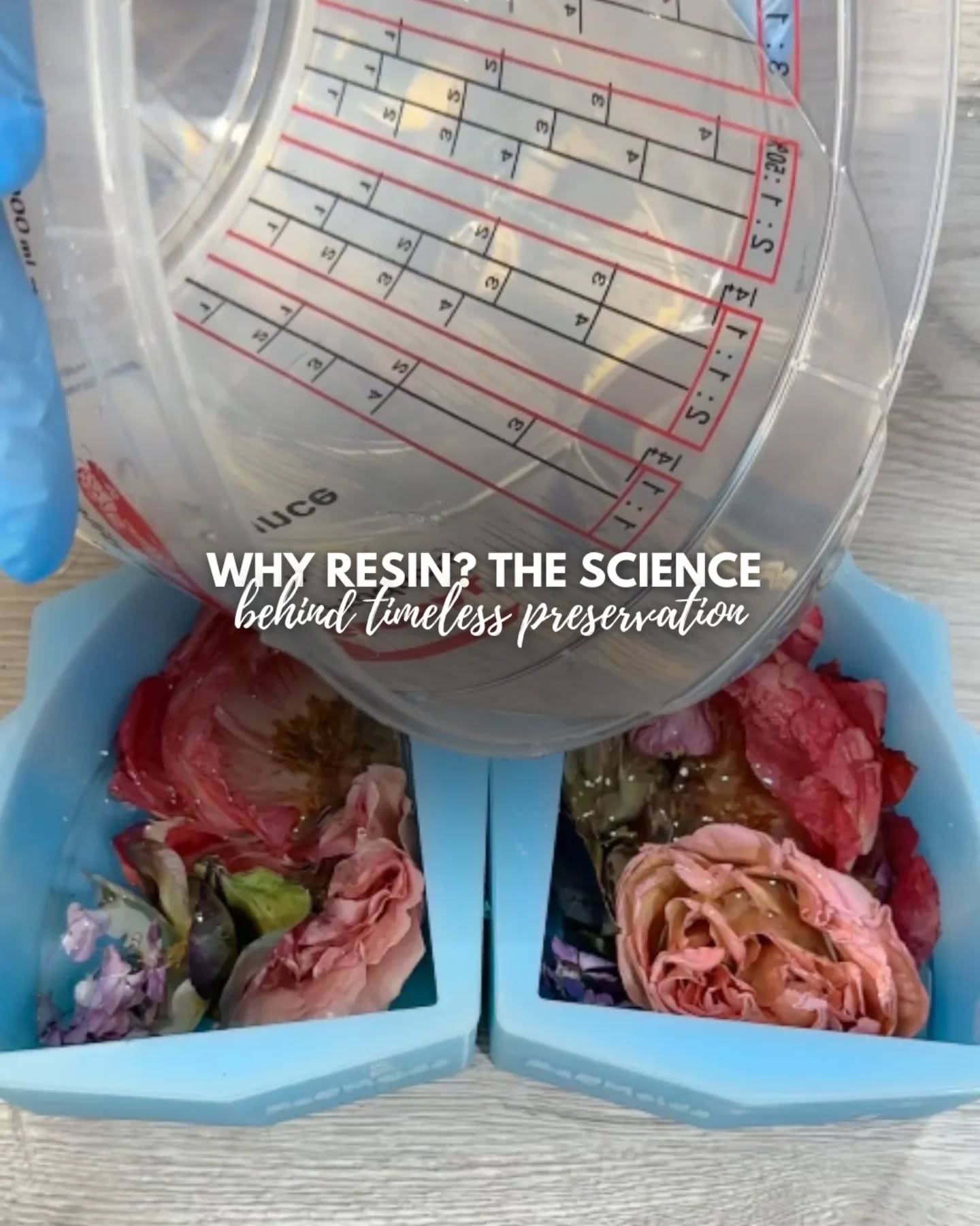 Ever wondered why I use resin for flower preservation? 🌸

Resin isn’t just aesthetic. It’s science. When it hardens, it creates a crystal-clear barrier that locks out air and moisture, keeping every petal vibrant for years.

Each piece is a blend of chemistry and care poured layer by layer, preserved with intention.

✨ A moment frozen in clarity.
Start your preservation journey today. DM for inquiries.
#preservedflowers #bouquetpreservation #resinarts #weddingkeepsake #newmexicowedding