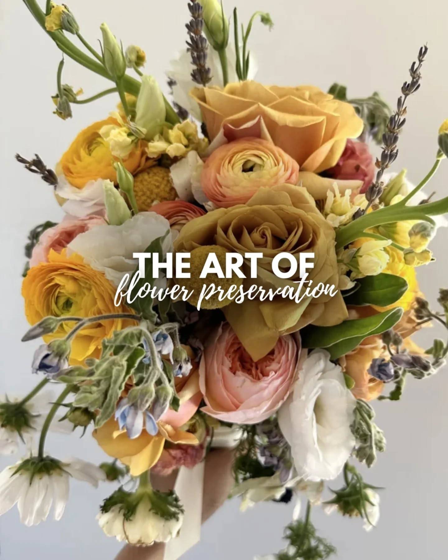 Not throwing it away. Not pressing it in a book.
We’re preserving it properly. 🤍

Share this to a bride/friend who would actually want to keep their flowers forever.

#bridalbouquets #flowerpreservation #bouquetpreservation #newmexicowedding #designsbymaha
