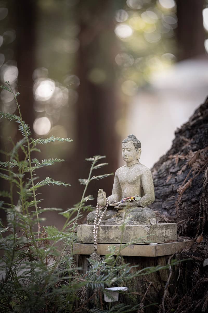 ShivaShakti Meditation Training