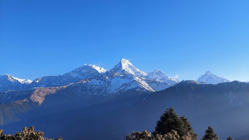 BuddhaTantra