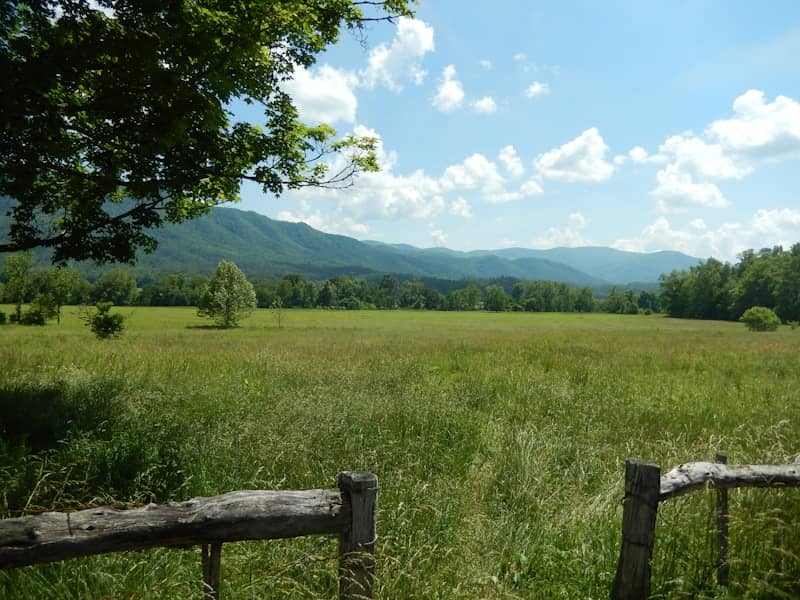 green grass field near green mountains under white clouds and blue sky during daytime