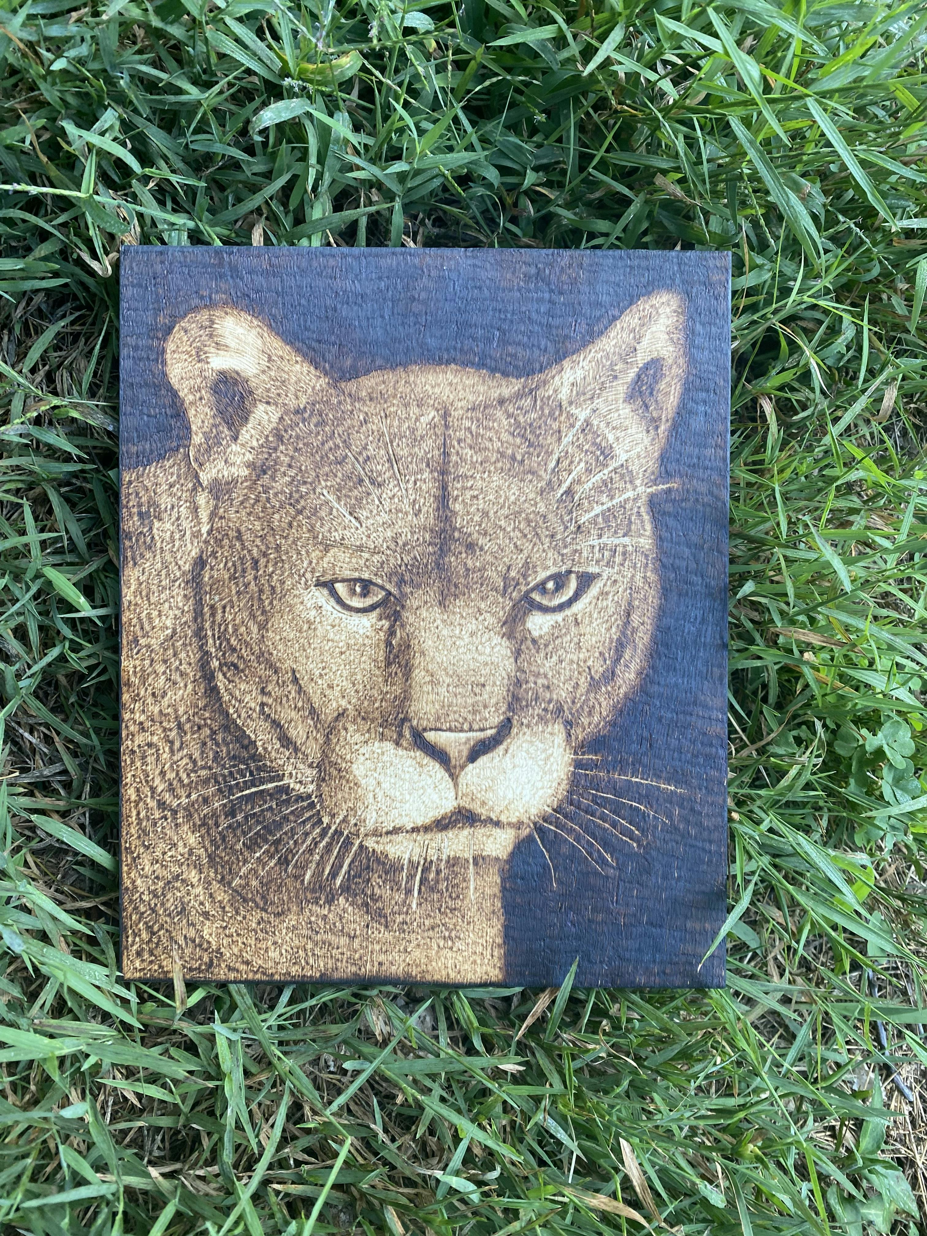 Mountain Lion Pyrography