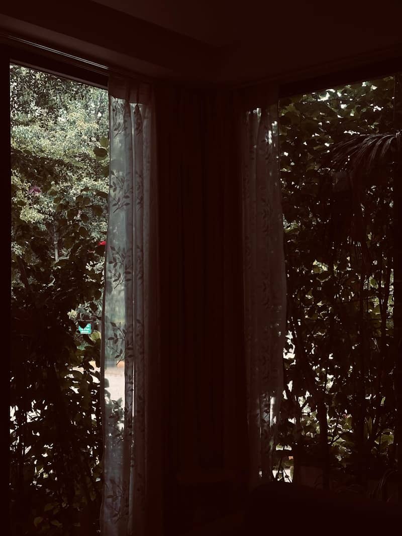 View through a window with lace curtains and trees